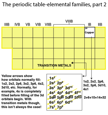Periodic table organization, elemental families, transition metals