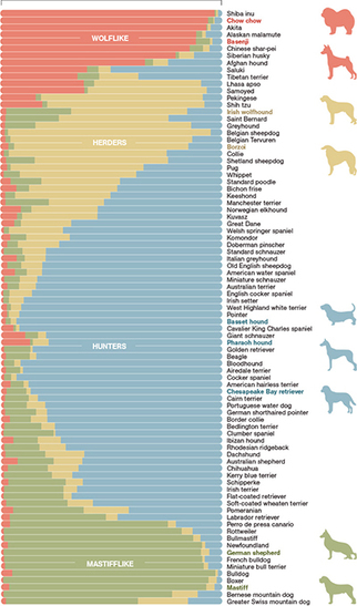 Infographic of genetic originas of dog breeds, Science Friday's rise of the infographic