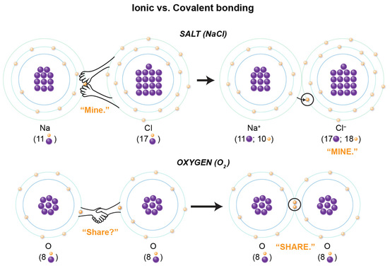 NaCl as an example of ionic bonding, O2 as an example of covalent bonding