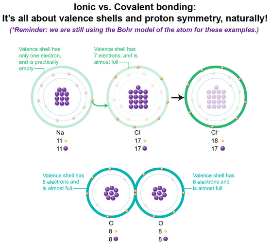 Factors in ionic versus covalent bonding, proton number, valence electron number