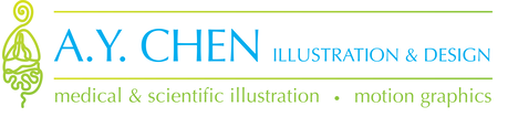 A.Y. Chen Illustration & Design